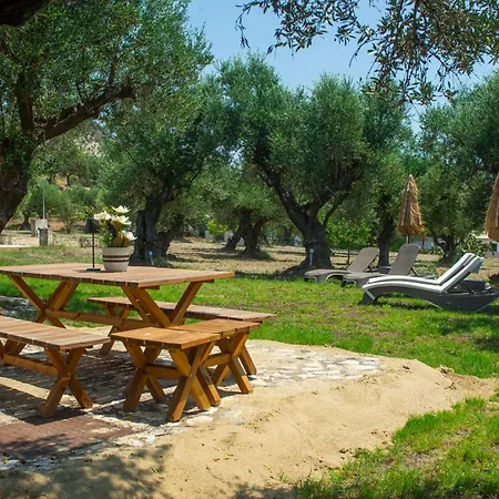 Oliva - Ideal For Families Close To * Zakintos